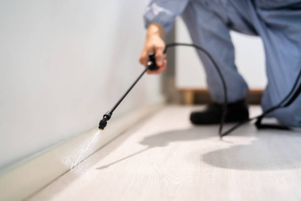 Licensed Termite Control service in Blue Ridge, AL - Nex Pest Control