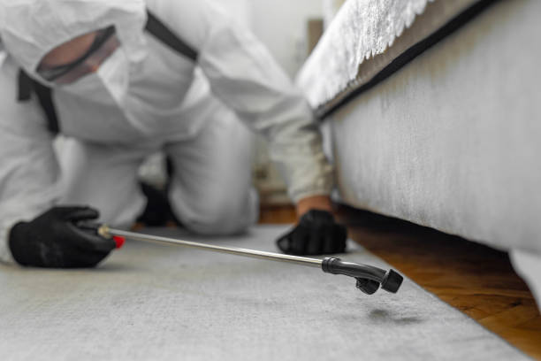 Professional Termite Control technician working in Blue Ridge, AL