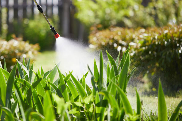 24/7 Emergency Termite Control experts in Blue Ridge, AL