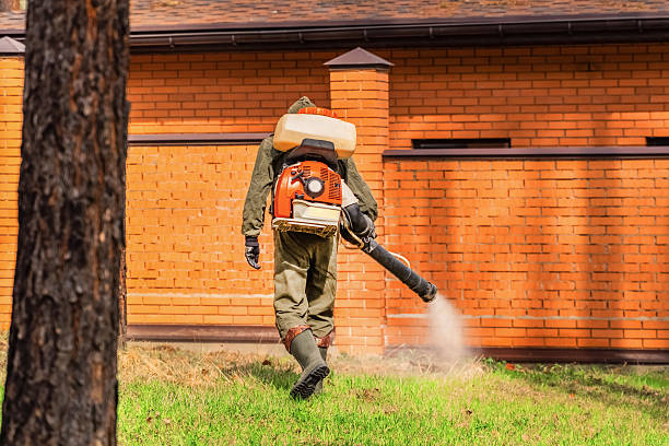 Trusted Cockroach Control service in Blue Ridge, AL - Nex Pest Control